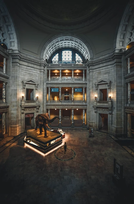 Overview of museum hall at night, with large elephant display and grand marble arches. 